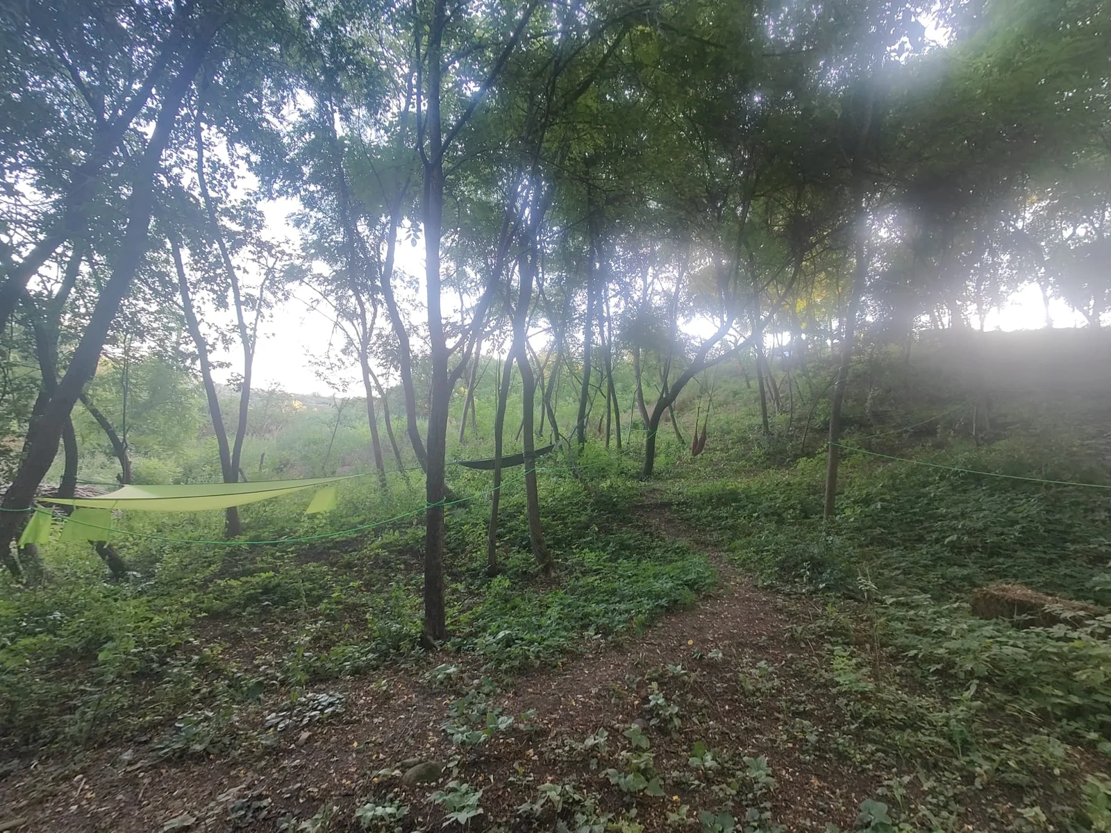 Vedere generala zona de campare in padure — Forest Camping - Camping Be You Văleni