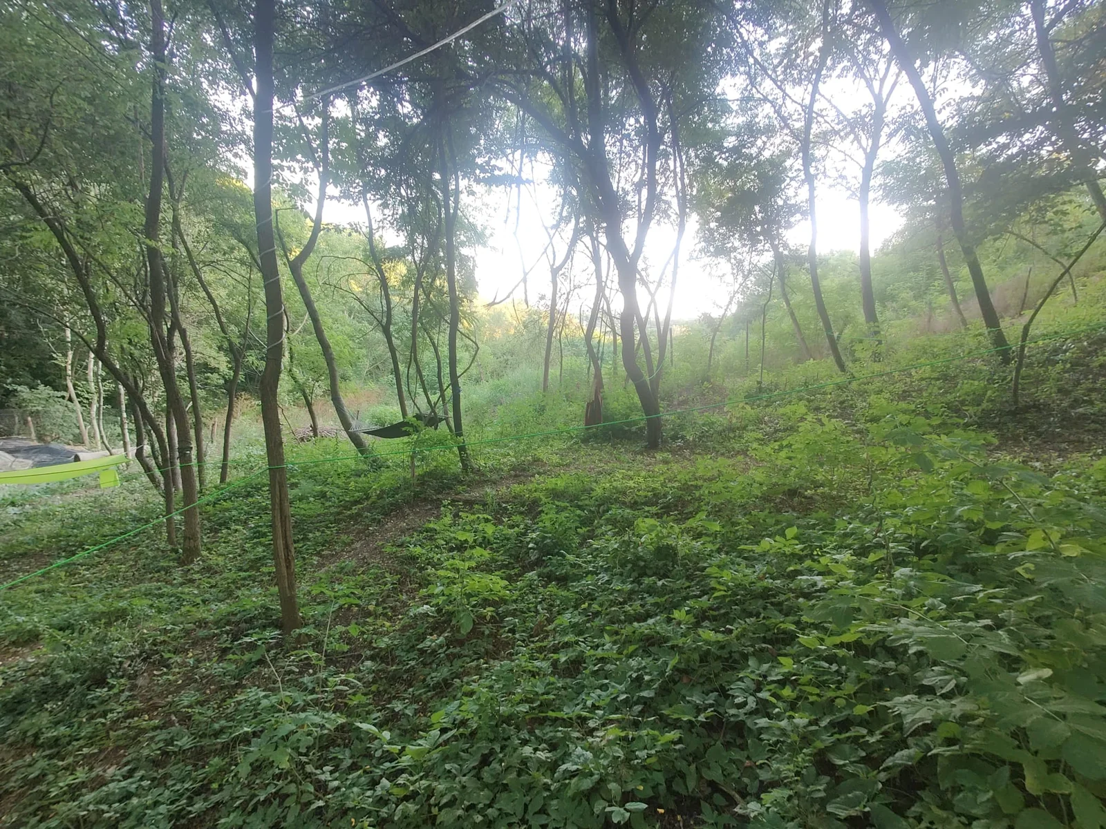 Poteca si pozitii de campare intre copaci — Forest Camping - Camping Be You Văleni