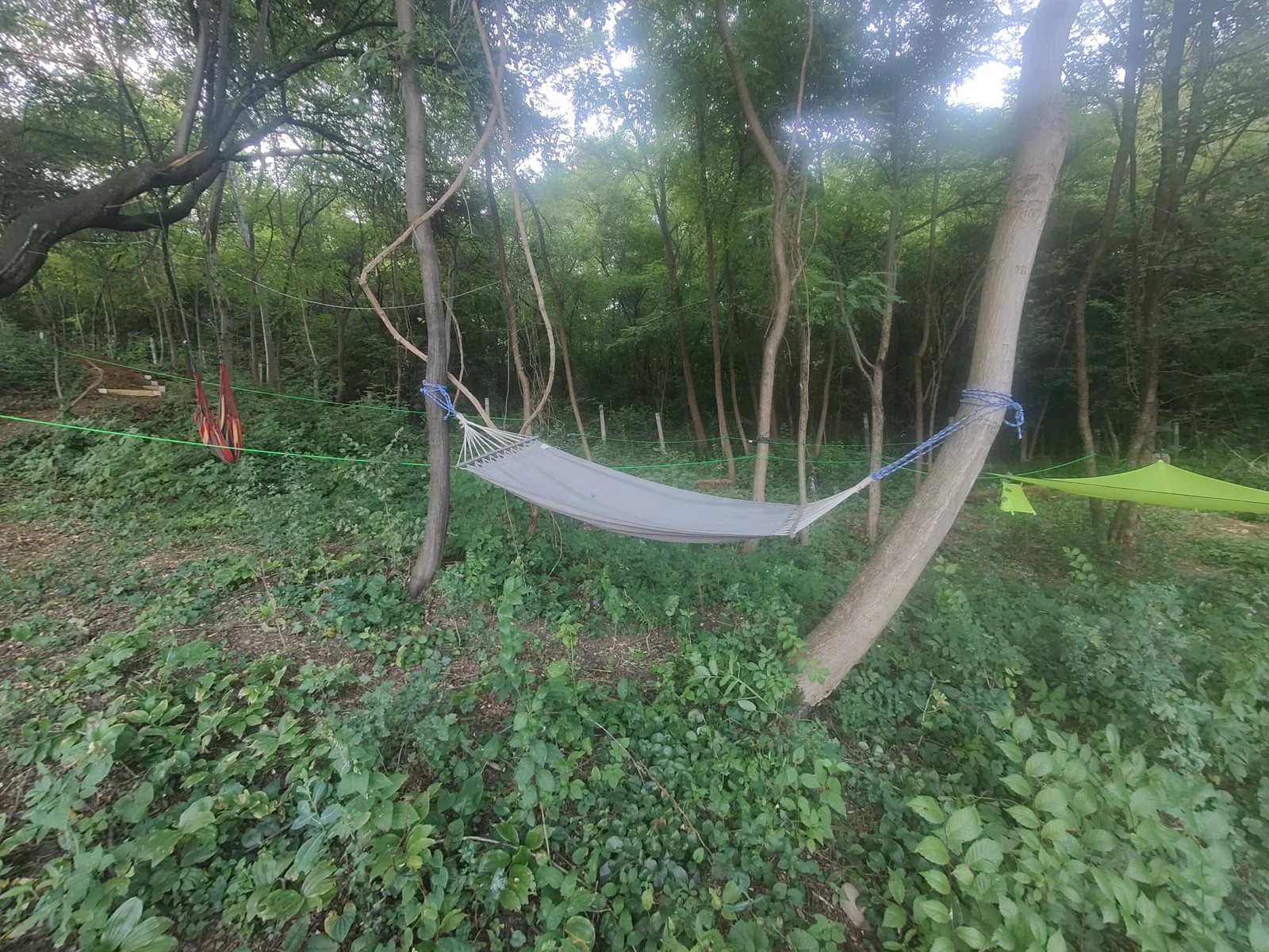Hamac intre copaci — Forest Camping - Camping Be You Văleni
