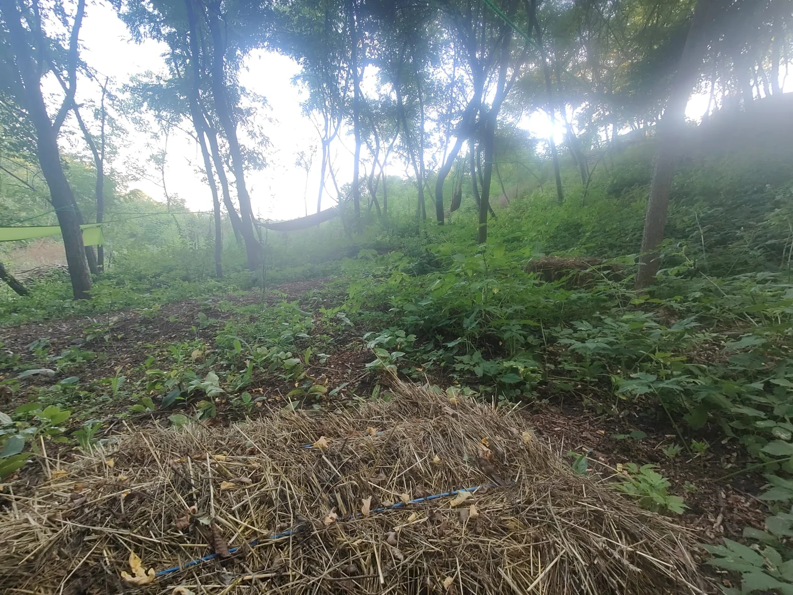 Baloti de paie pentru citit si relaxare — Forest Camping - Camping Be You Văleni