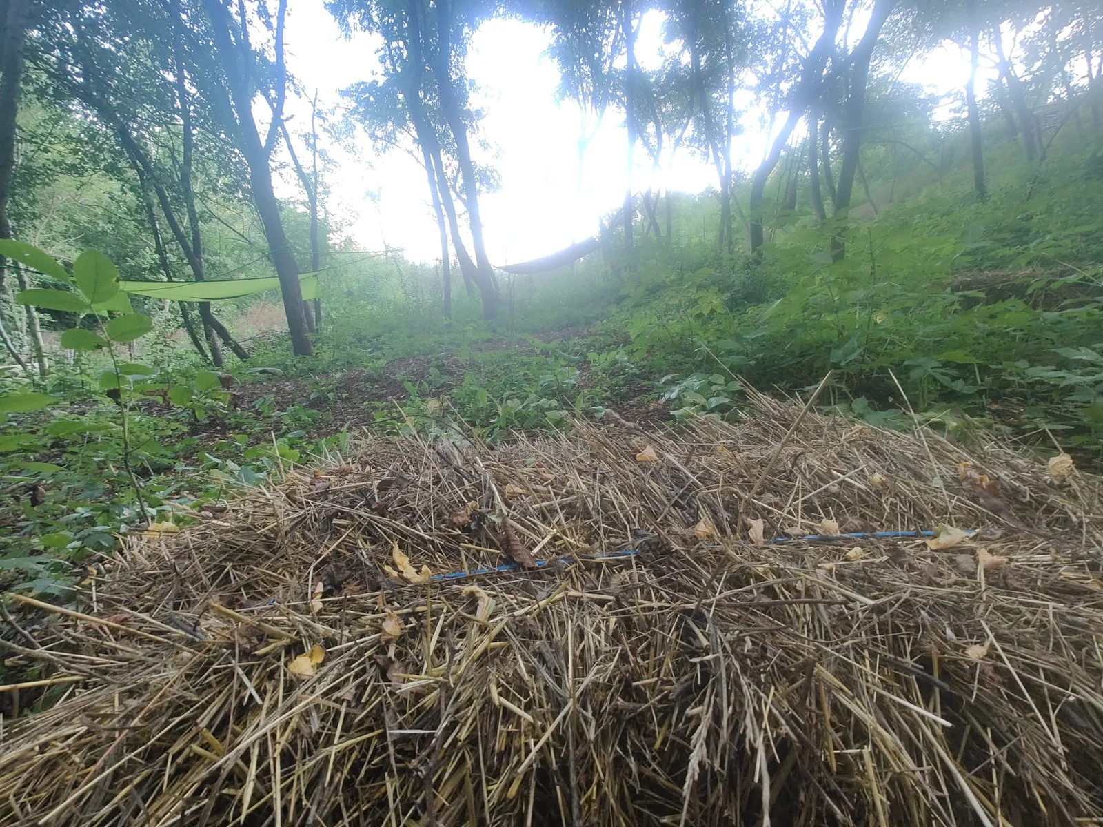 Baloti de paie in zona de campare — Forest Camping - Camping Be You Văleni