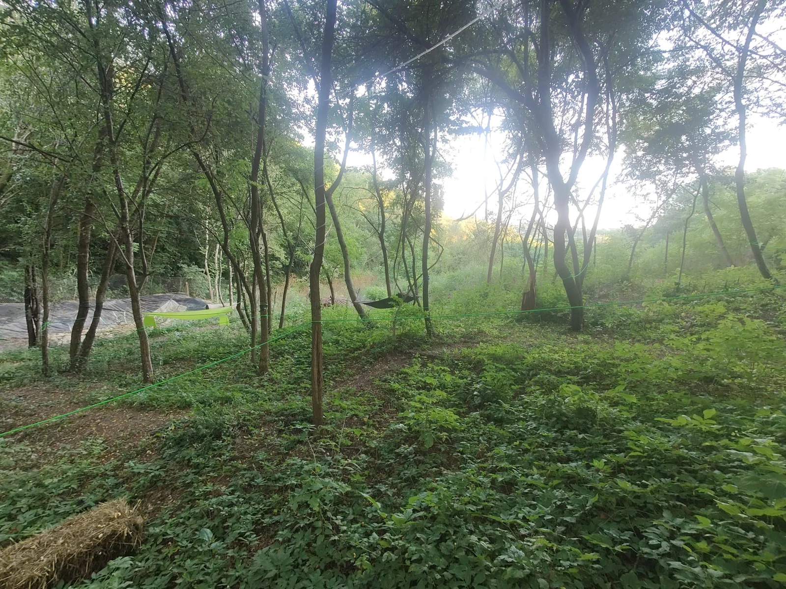 Imprejmuire si lac temporar — Forest Camping - Camping Be You Văleni