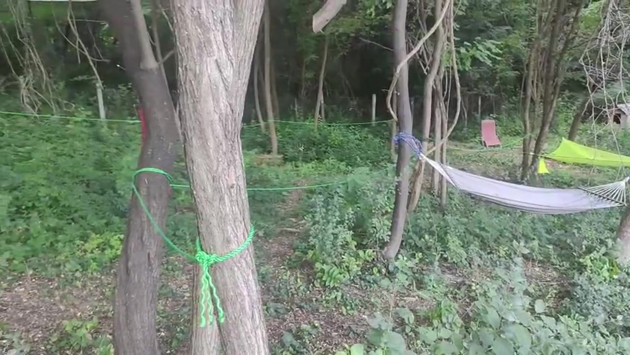 Videoclip de prezentare — Forest Camping