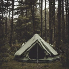 Forest camping – a secluded tent pitch at Camping Be You Văleni, Prahova